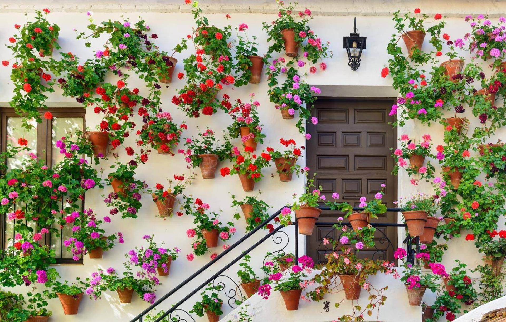 Sultana Homes Córdoba Exteriér fotografie